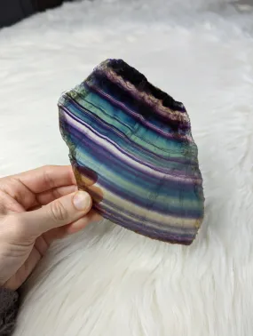 STUNNING Rainbow Flourite Slice #4~ Translucent and Vibrant!